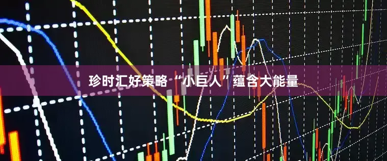 珍时汇好策略 “小巨人”蕴含大能量